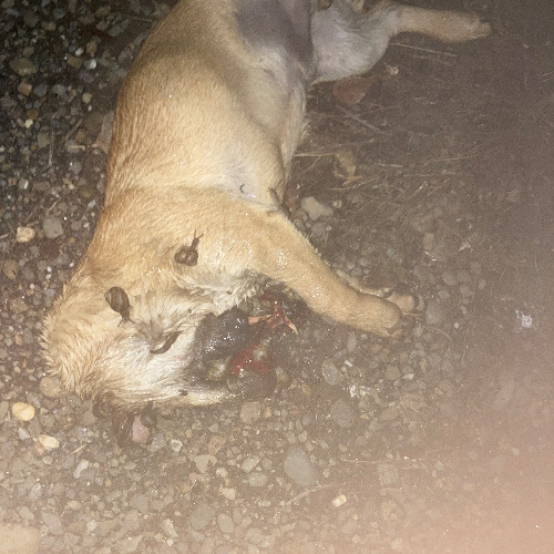 you're gonna be okay