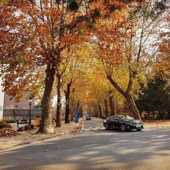 con duong tinh yeu 2023-02-08 20/59/20.mp3