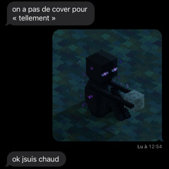 tellement (prod. samoss)