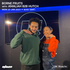 Borne Fruits with Amaliah B2B Hutch - 23 January 2023