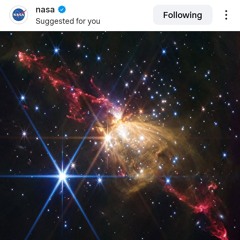 HAL LABS