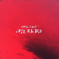 Fields