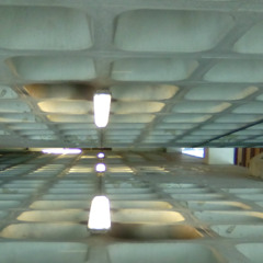 5. The Laywell Lout - open plan rooms full of people givin up