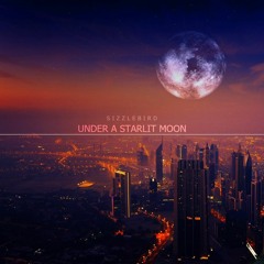 Under A Starlit Moon