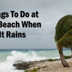 Best Things To Do In Miami Beach When It Rains Tours Reviews