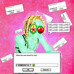 prettifun ginseng misogi type beat