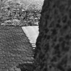 times-up (p. wckdfr)