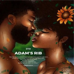 DTD- Adam's Rib