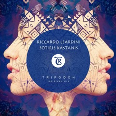 Riccardo Leardini, Sotiris Kastanis- Tripodon [Tibetania Records]