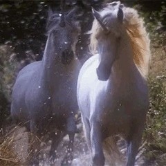 2026 fantasy edit audios