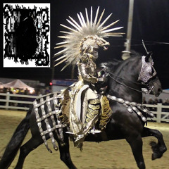 —reality-of-reality—