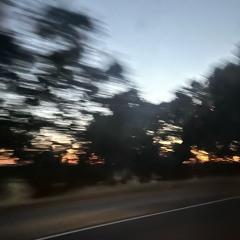 AUDDI