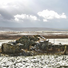 Sea and Wind (PU11)