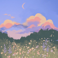 bloom 🌸 - the paper kites