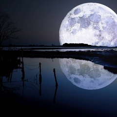 Moonsnights