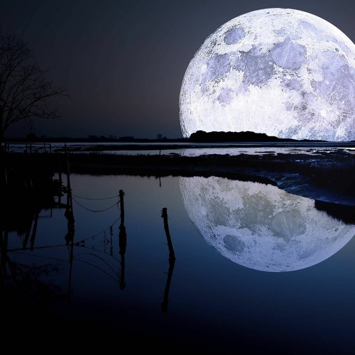 Moonsnights