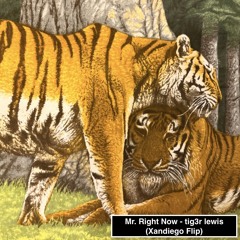 Mr Right Now - tig3r lewis (Xandiego Flip)