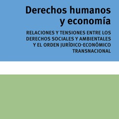 EBOOK Derechos humanos y econom?a: Relaciones y tensiones entre los derechos sociales y ambienta