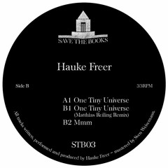 STB03 - B1 - Hauke Freer - One Tiny Universe (Matthias Reiling Remix)