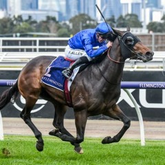 Stakes Day Punting Preview