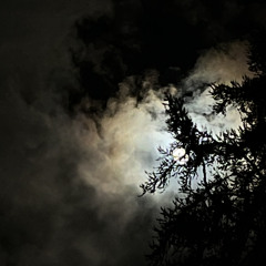 Close your eyes