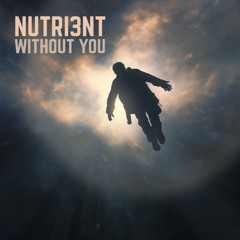 Without You