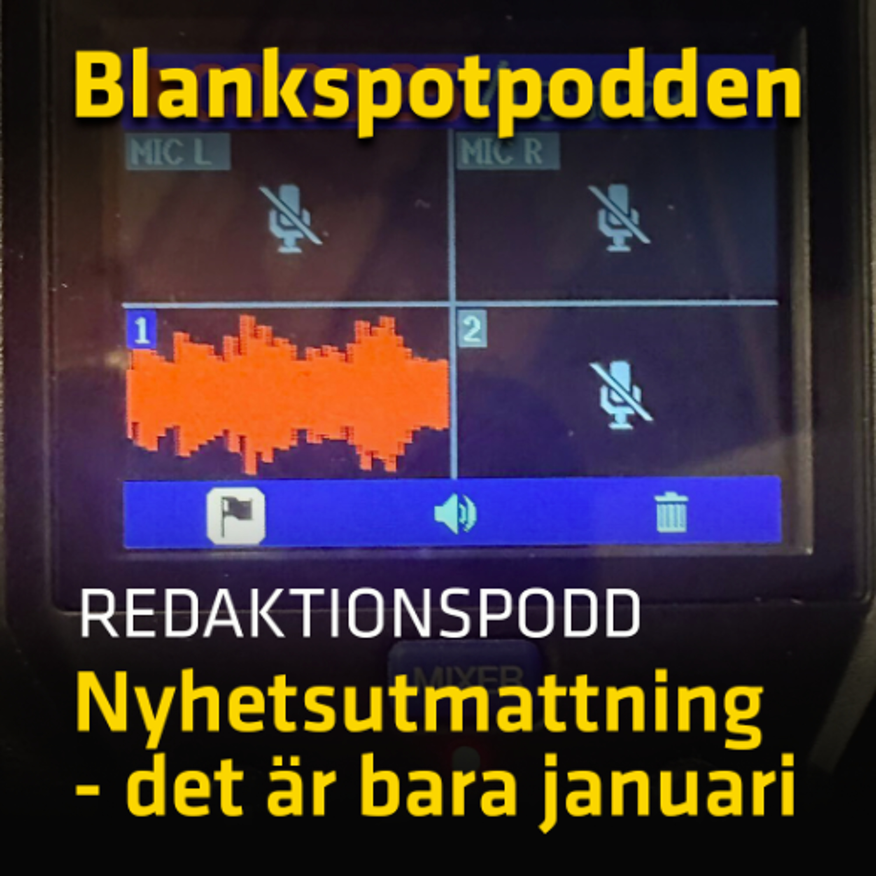 Blankspotpodden