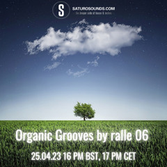 Organic Grooves by ralle 06, 25.04.23