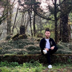 If - Từ Vi | 徐薇 Remix Hải Anh Levis 2021 ( S2Q-L Team )