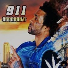 Crocadile Dubplate 911 - GroovTropikal