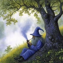 Vollgas durch den Zauberwald