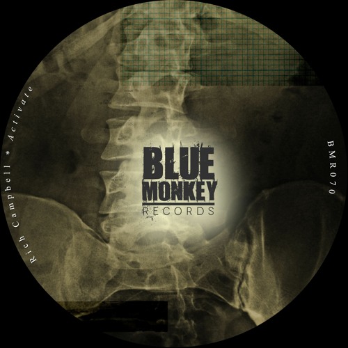 Rich Campbell - Raveolution (Blue Monkey Records) - Preview