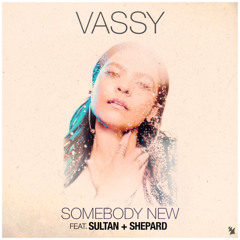 VASSY feat. Sultan + Shepard - Somebody New
