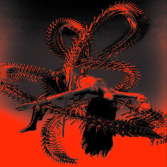 Seraphic - Hold onto you