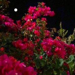 Mabel Matiz Fırtınadayım X Dedublüman Belki (Batuhan Karaçay Full Mix).mp3