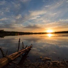 Darker Night Skies at Thousand Hills State Park