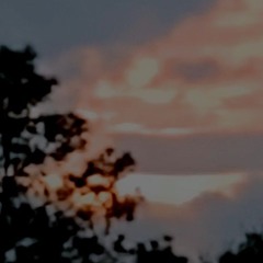 Sleeping in the Fire