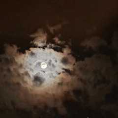 Lunar Nidra ~ Security ~ Taurus Full Moon