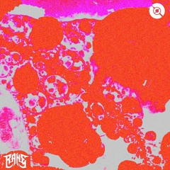 RANE X DRONE - ELEMENT [HAVOC]