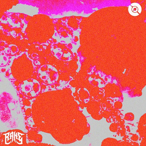 RANE X DRONE - ELEMENT [HAVOC]