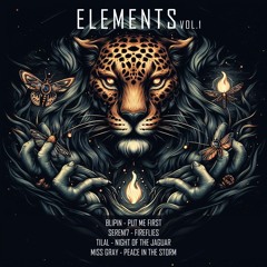 Sereni7 - Fireflies