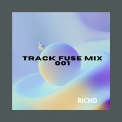 (TF Mix 001) - RICHO