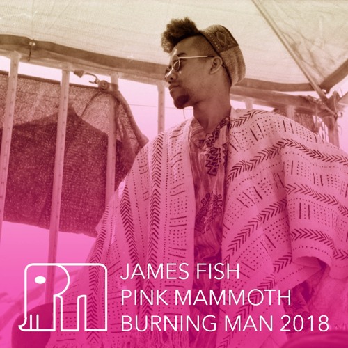 James Fish - Pink Mammoth - Burning Man 2018