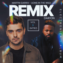 Lions In The Wild REMIX (Vol 3 Intro)