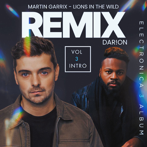 Lions In The Wild REMIX (Vol 3 Intro)