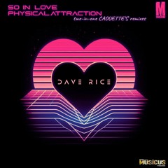 Dave Rice feat. Ashley Mazanec - Physical Attraction (Denis Caouette Remix)