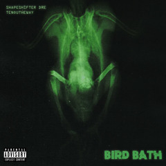 Bird Bath Prod. By Tenoutheway