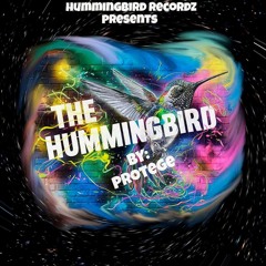 Hummingbirds