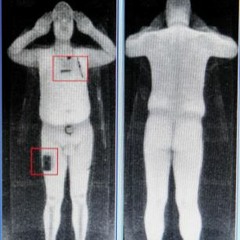Naked Torso Club