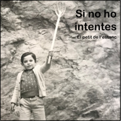 Si no ho intentes
